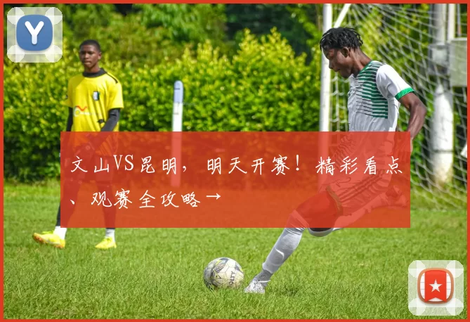 文山VS昆明，明天开赛！精彩看点、观赛全攻略→